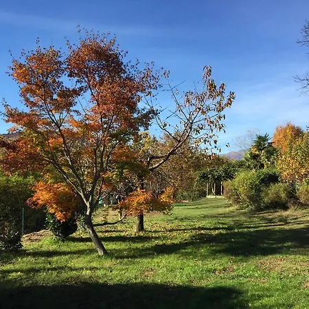 Gelsomina * Verbania